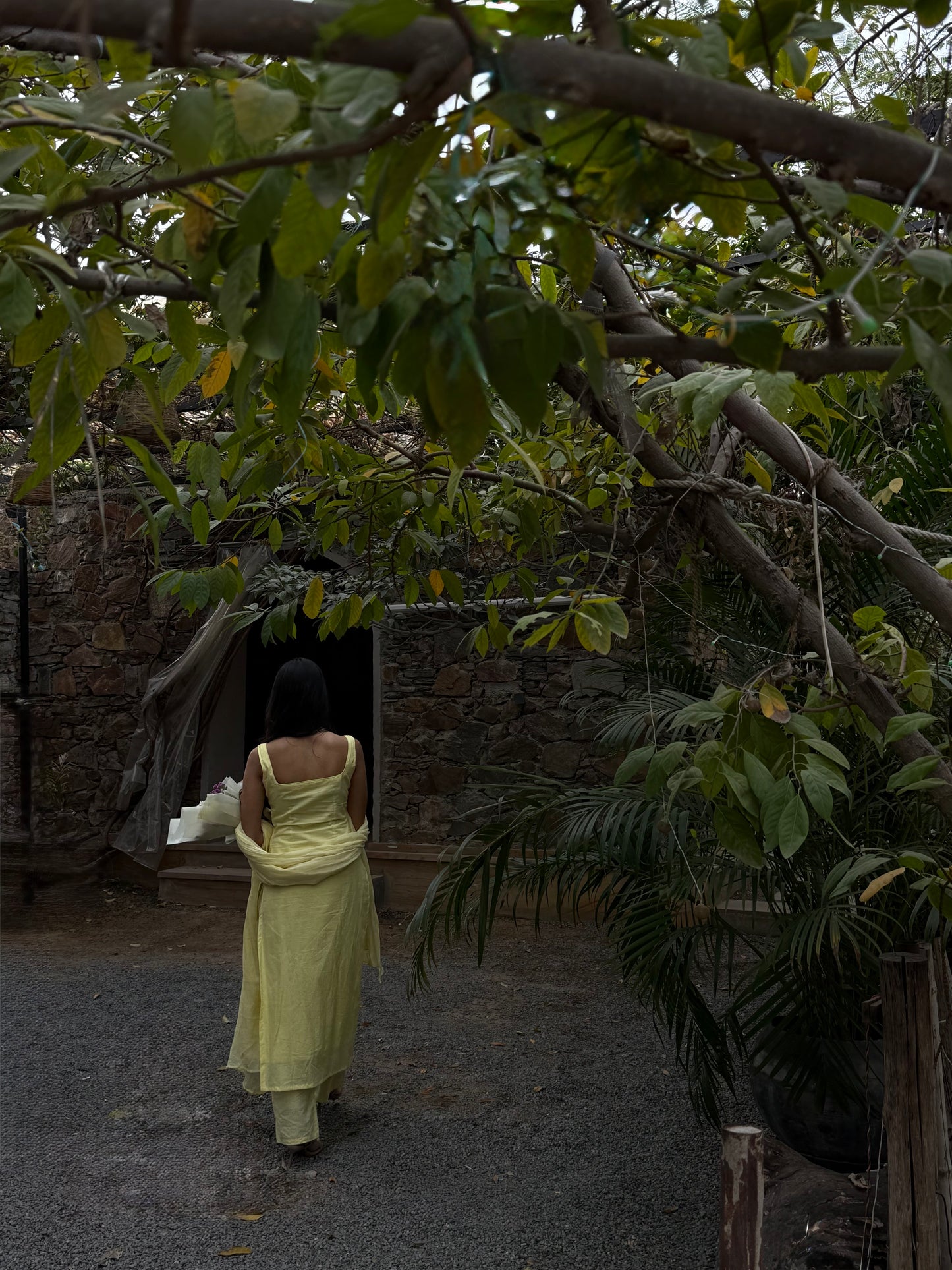 Sundrop Cotton Suit Set