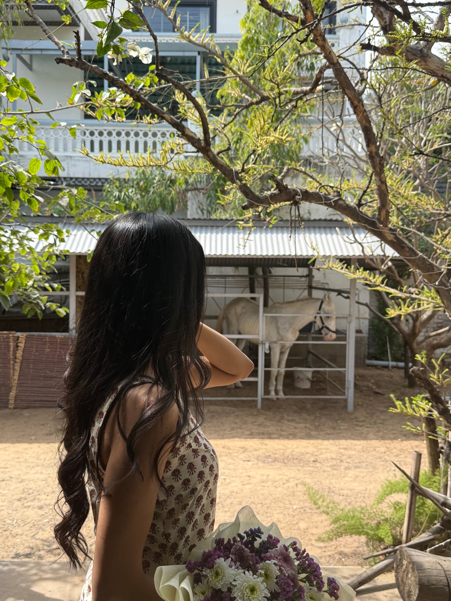 Soft Sun Printed Suit Set